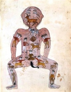 Anatomy of Mansur zodiac man